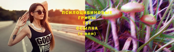 2c-b Нефтекумск